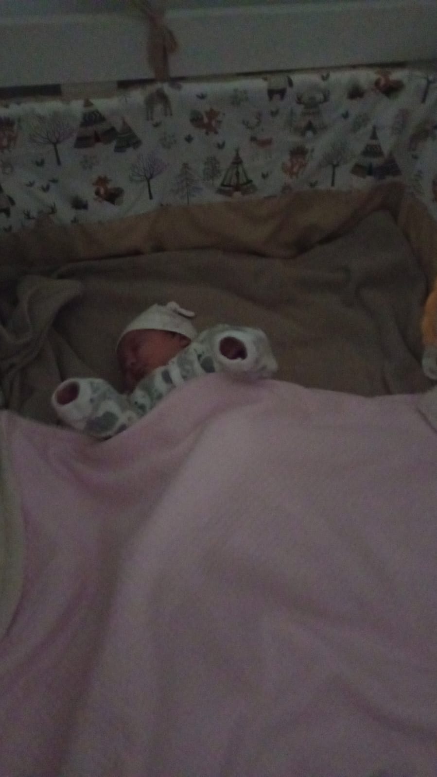 WhatsApp Image 2024-08-05 at 15.43.27.jpeg